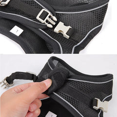 "Adjustable dog harness and leash set for small dogs"