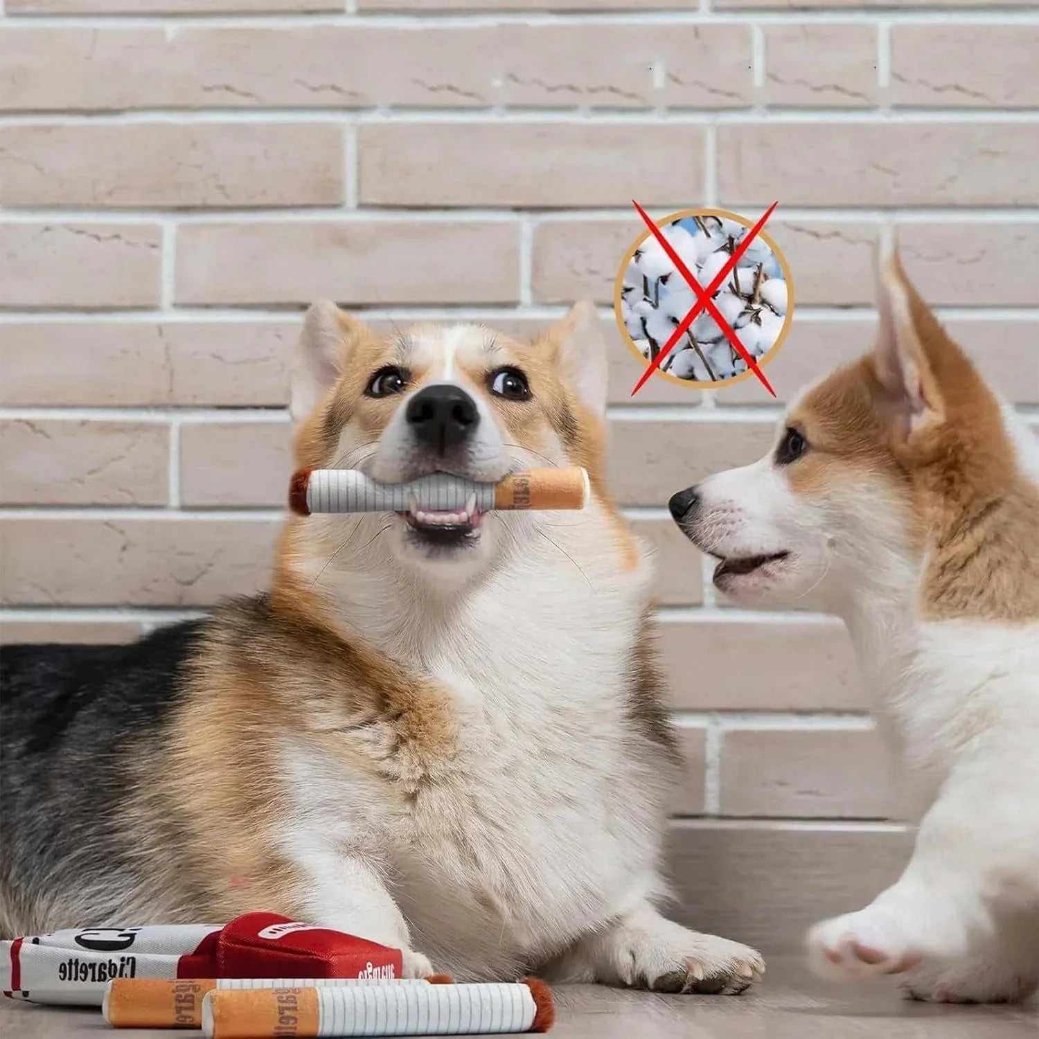 Dogs playing with Dog Cigarette Box Sound Making Toy, a bite-resistant plush pet toy.