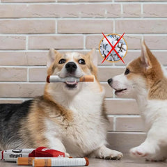 Dogs playing with Dog Cigarette Box Sound Making Toy, a bite-resistant plush pet toy.