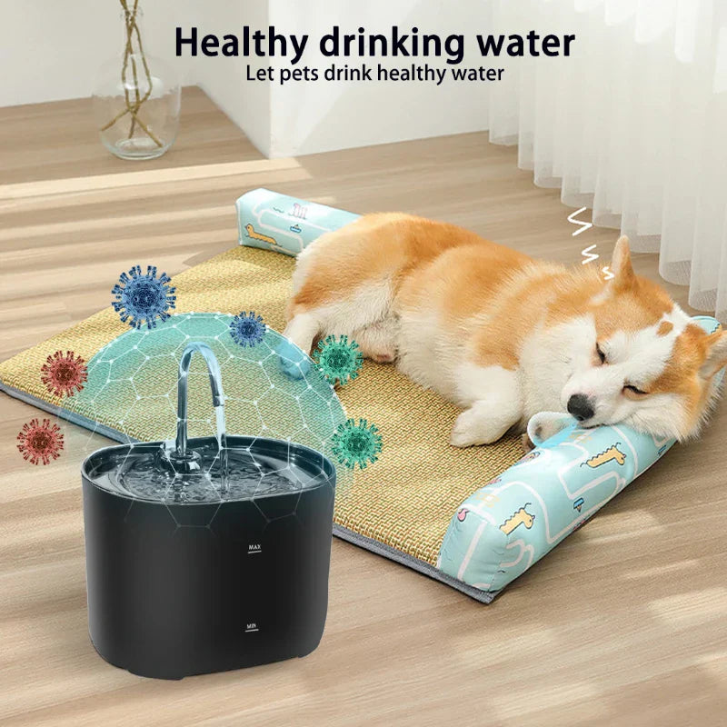 Stainless steel automatic pet water fountain with cycle filters and ultra-silent pump, designed for cats and dogs to ensure fresh drinking water.