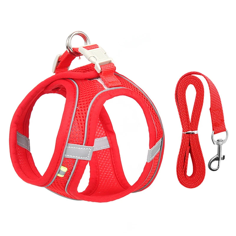 "Adjustable dog harness and leash set for small dogs"