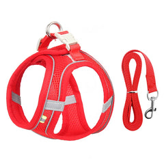 "Adjustable dog harness and leash set for small dogs"