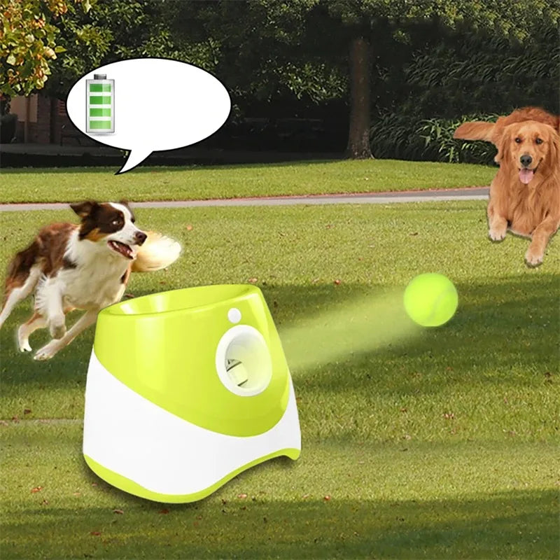 "Automatic dog tennis ball launcher for interactive play"