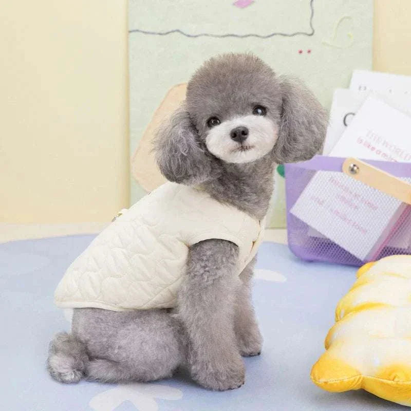 Winter pet dog vest jacket for small to medium dogs and cats, warm cotton clothes suitable for Yorkie, Chihuahua, Maltese, and Bulldog.