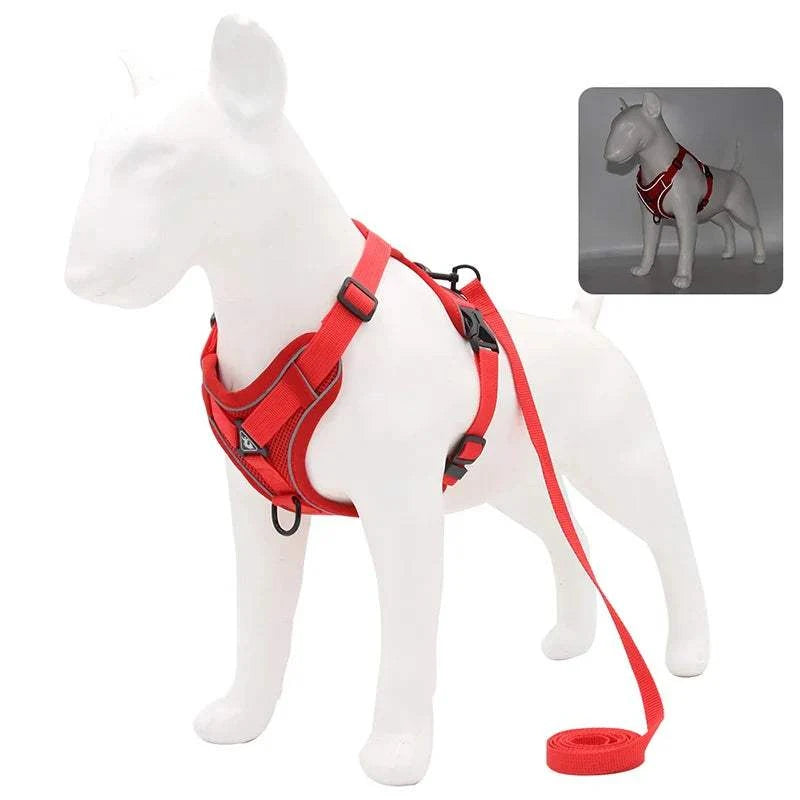 No Pull Dog Harness & Leash Set with Adjustable Reflective Vest for Small Pets