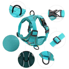 No Pull Dog Harness & Leash Set for Small Pets, Adjustable Reflective Vest, Breathable Mesh