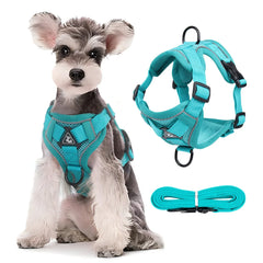Adjustable Dog Harness Leash Set with reflective design for small and medium dogs, perfect for French Bulldogs and Yorkies.