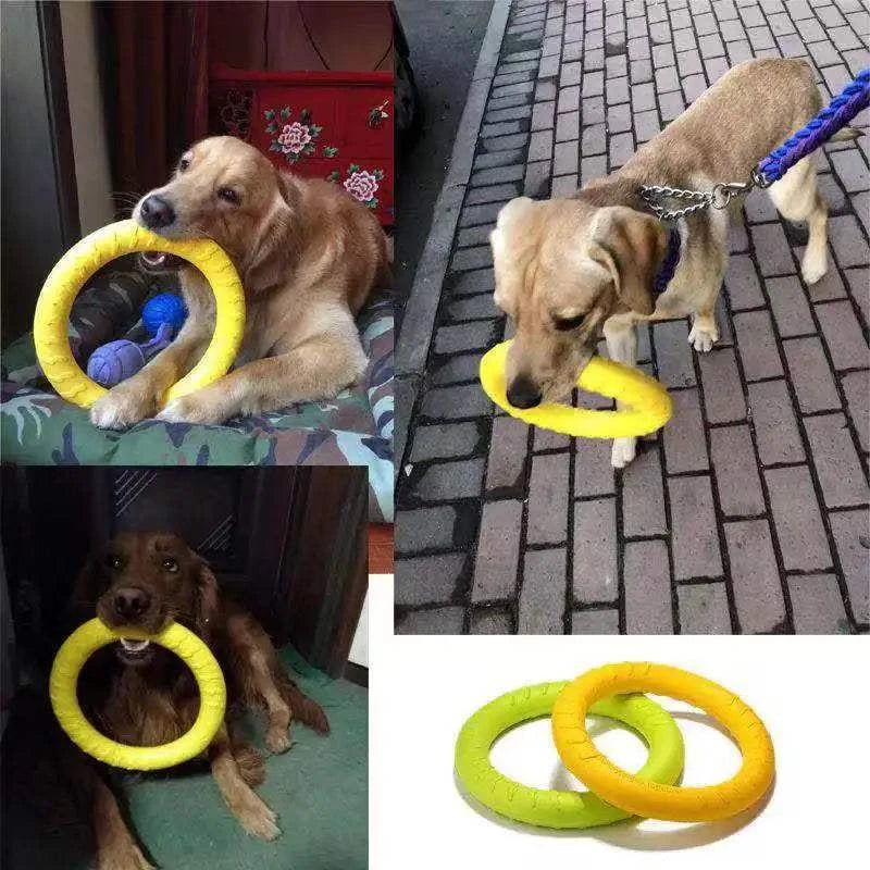 Anti-Bite Pet Flying Disk Training Ring Puller with dogs playing and fetching.