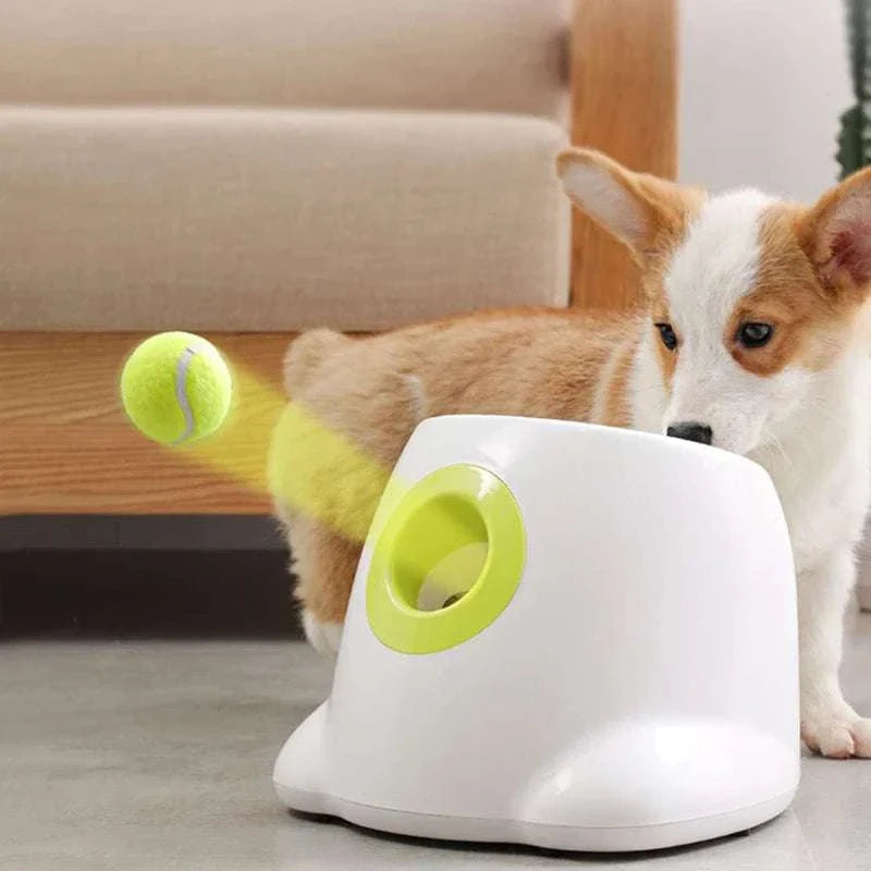 "Automatic dog ball launcher for throwing tennis balls, ideal for high-energy dogs"
