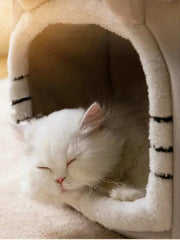 Cozy Half-Closed Dog Bed with fluffy, soft interior for small pets.