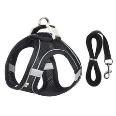 "Adjustable dog harness and leash set for small dogs"