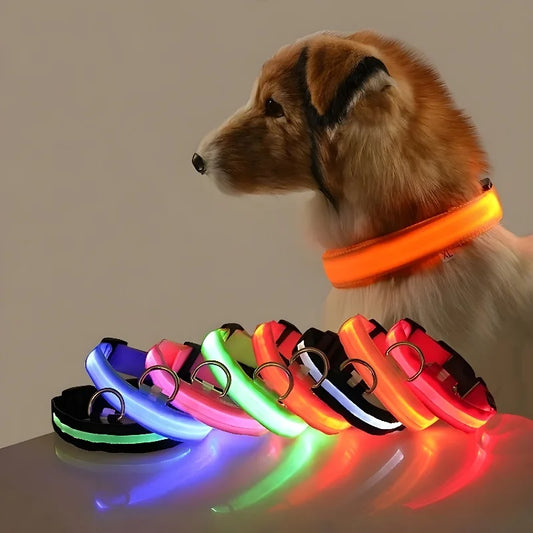 "LED night safety dog collar made from nylon with glow in the dark feature"