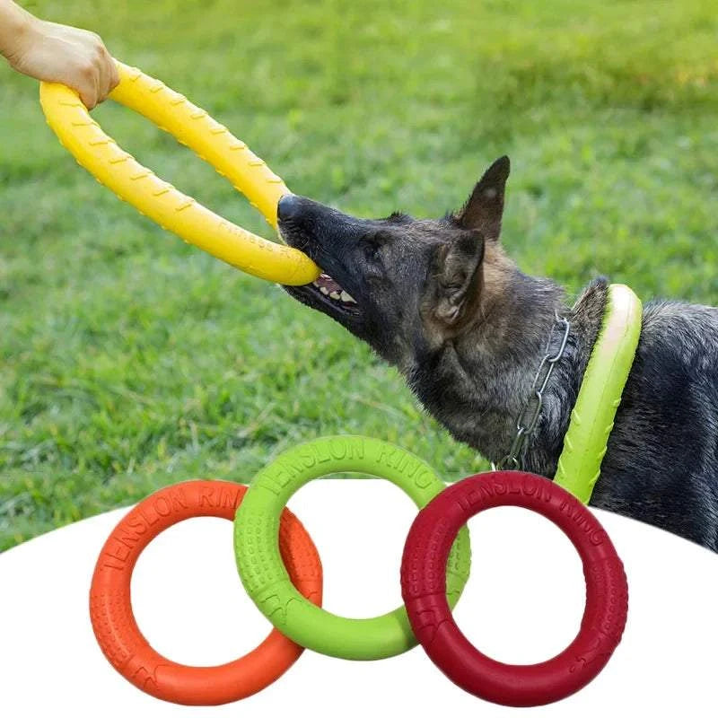 Anti-Bite Pet Flying Disk Training Ring Puller in use by a dog, showing durable and interactive design.