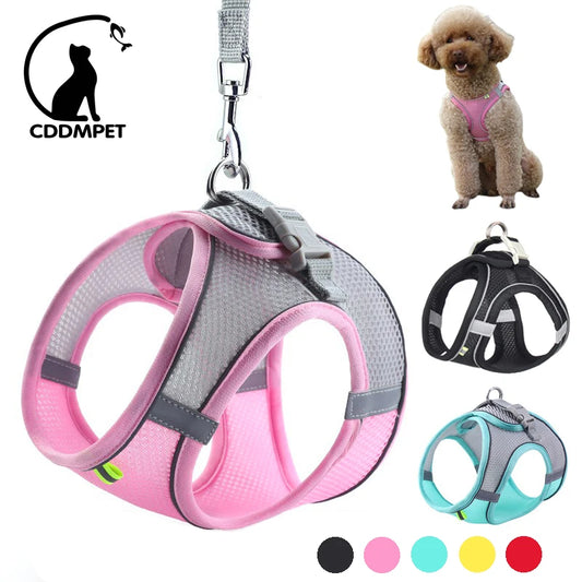 "Adjustable dog harness and leash set for small dogs"