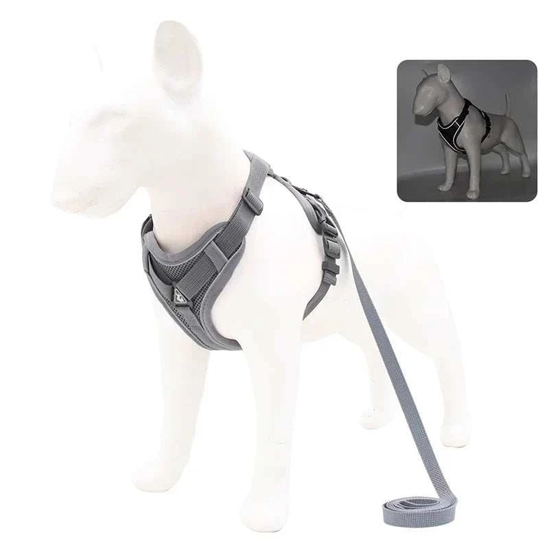 Adjustable No Pull Dog Harness & Leash Set with Reflective Mesh for Small Pets