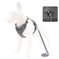 Adjustable No Pull Dog Harness & Leash Set with Reflective Mesh for Small Pets