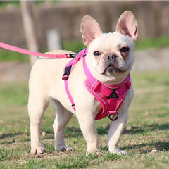 Adjustable Dog Harness Leash Set with reflective design for small and medium dogs, perfect for French Bulldogs and Yorkies.