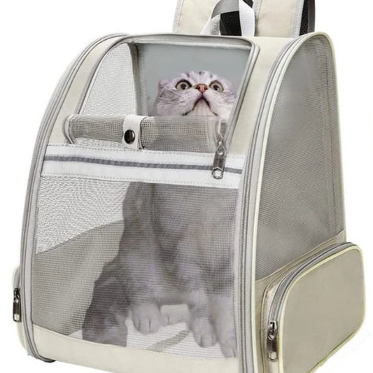 "Breathable canvas cat backpack with mesh panels for airflow and comfort"