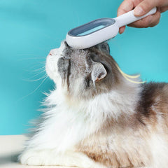 "Double-sided pet hair removal brush for cats and dogs with grooming wipes"