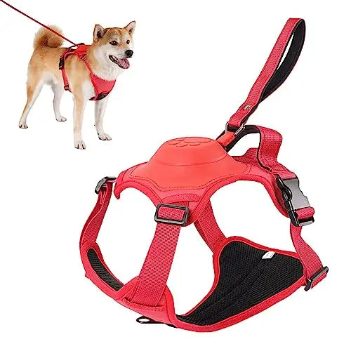 Dog Harness and Retractable Leash Set with adjustable, breathable design and anti-burst safety features.
