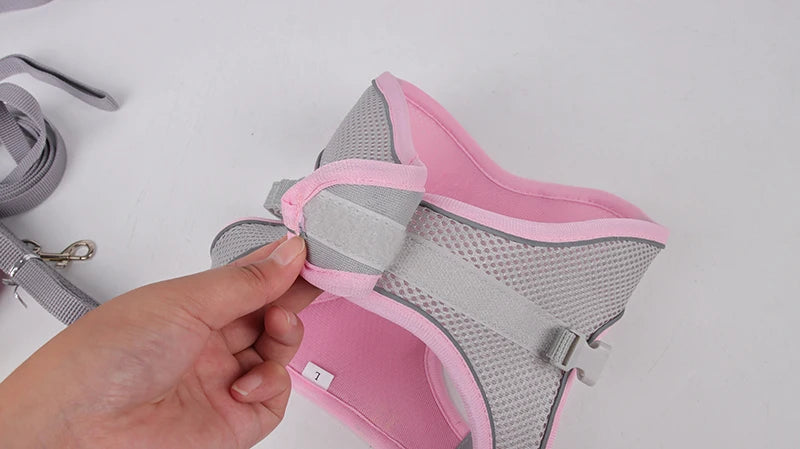 "Adjustable dog harness and leash set for small dogs"