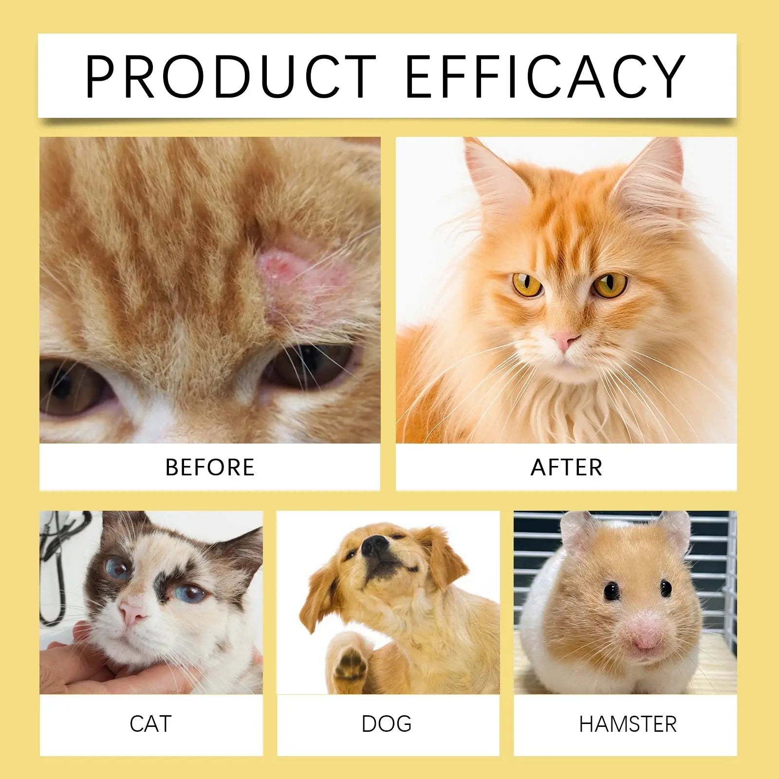 Vet Recommended Skin Spray My Store