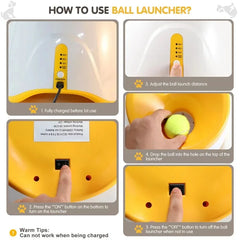 "Automatic dog tennis ball launcher for interactive play"