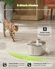 "APETDOLA 4L wireless cat water fountain with auto sensor for fresh automatic dog water bowl pet drinking water"