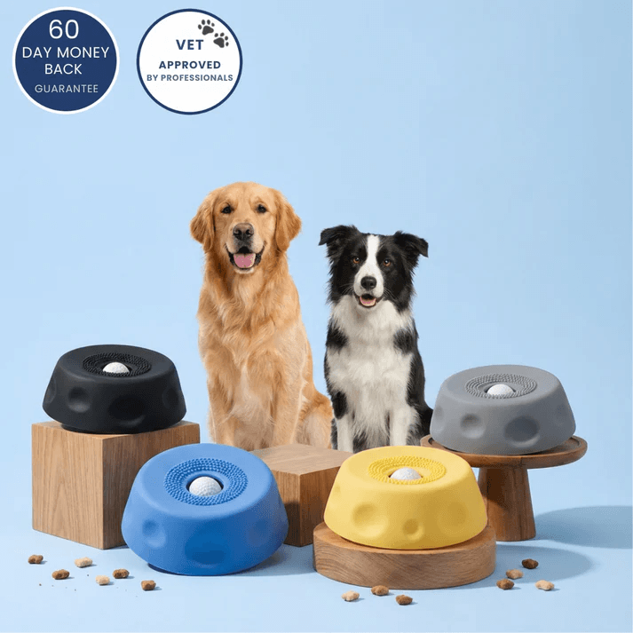 Dog licking bowl with rolling ball slow feeder for dogs