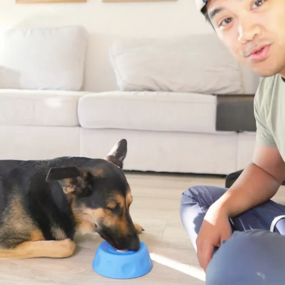 Dog licking bowl with ball suitable for small and large dog breeds