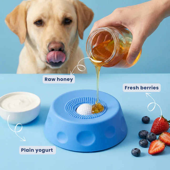 Dog happily licking from interactive lick bowl with rolling ball